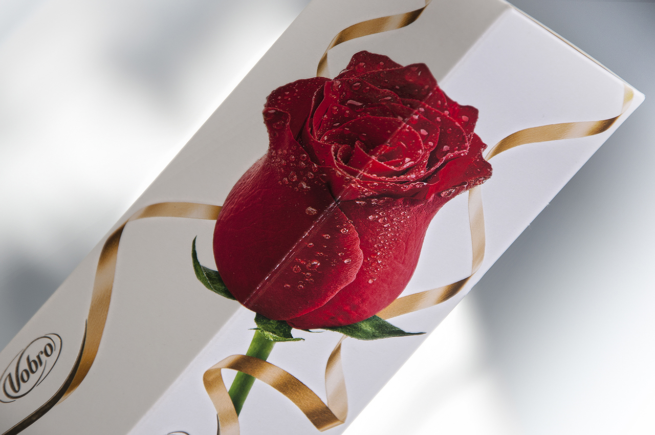 Vobro — Cherry Roses — zdjęcie 7