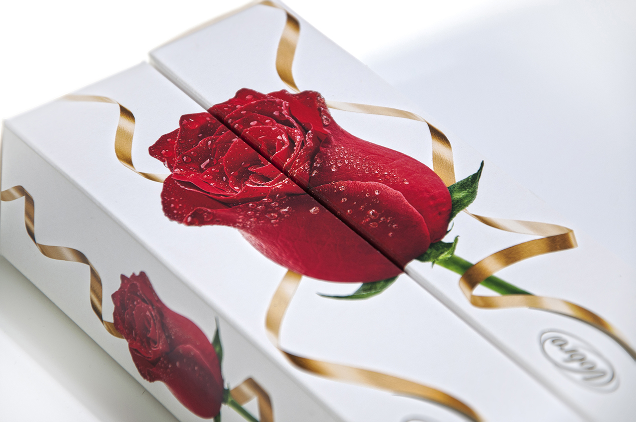 Vobro — Cherry Roses — zdjęcie 6