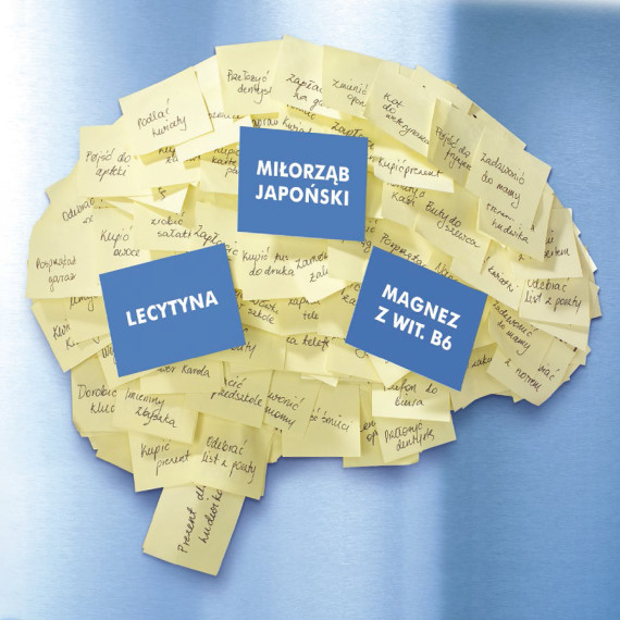 Komunikacja preparatu — Bilomag (Zdrovit)