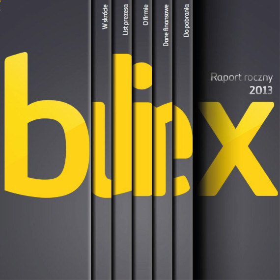 Raport Roczny 2011-2013 — Budimex